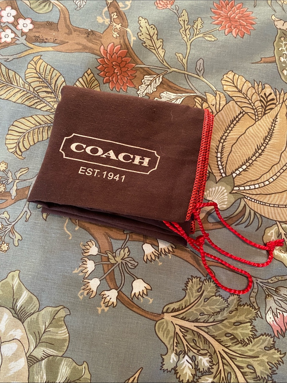 COACH Storage bag (21x19 inches)